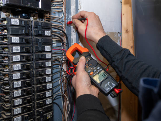 Best Electrical System Inspection  in Cobden, IL