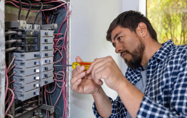 Best Electrical Troubleshooting Services  in Cobden, IL